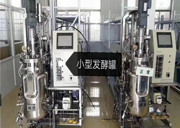 發(fā)酵罐的發(fā)酵過程有哪些操作要點(diǎn)呢？